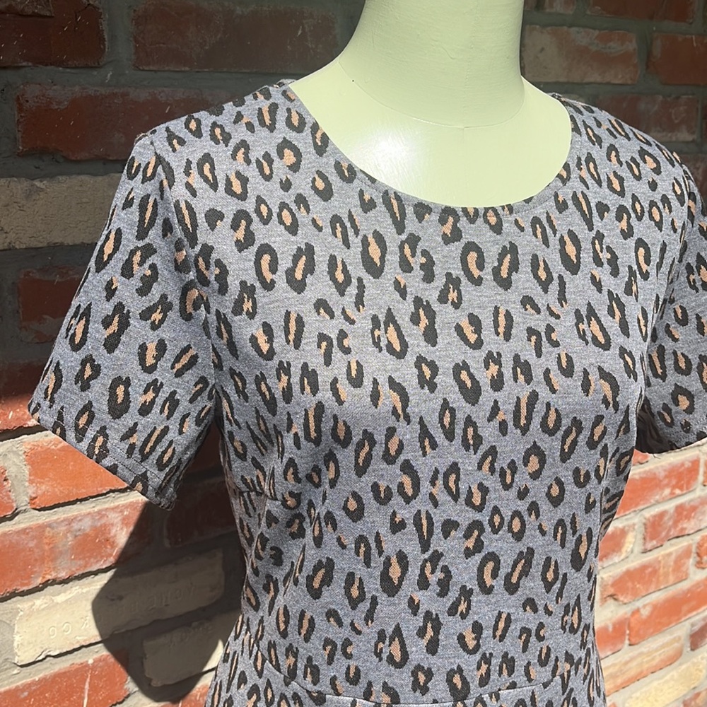 NWT Downeast leopard print knit dress size Large - Picture 2 of 7